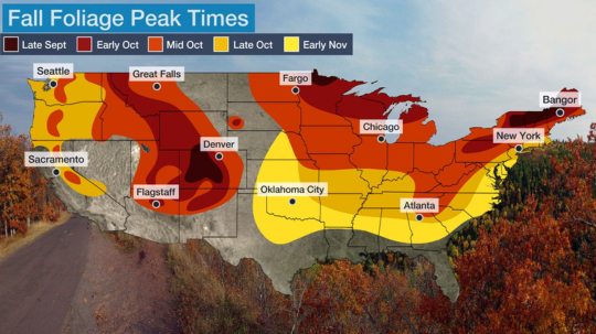 Discover the Mesmerizing Magic of Fall Foliage: When and Where to Experience Nature's Spectacle!