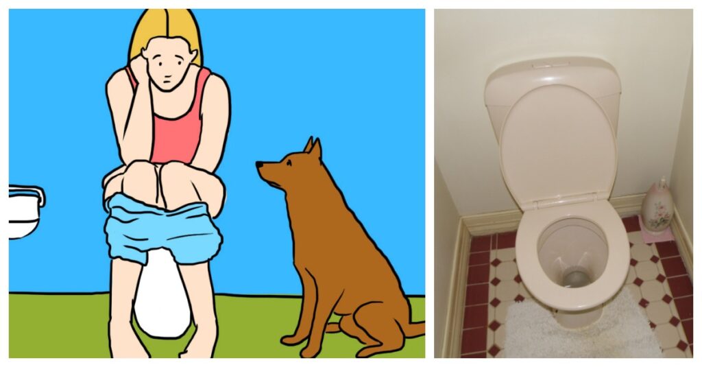 "Secret Revealed: Why Your Dog Always Follows You into the Bathroom!"